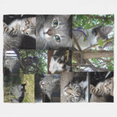 Couverture Polaire Collage Photo Cat And Kitten, (Devant (Horizontal))