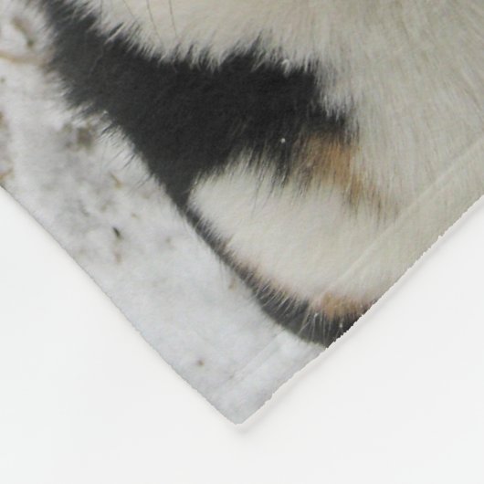 Couverture Polaire Collage photo de chien personnalisé Empreinte de p (Coin)