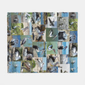 Couverture Polaire Collection De Pélicans Sur Un Collage Photo : (Devant (Horizontal))