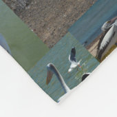 Couverture Polaire Collection De Pélicans Sur Un Collage Photo : (Coin)