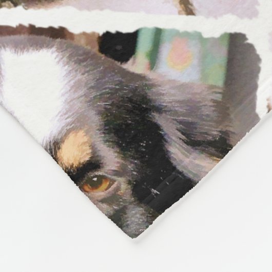 COUVERTURE POLAIRE COLLIE FRONTALIÈRE (Coin)