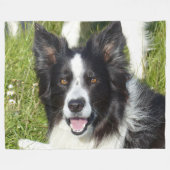 Couverture Polaire COLLIE FRONTALIÈRE, BEAUTÉ et CERVEAUX (Devant (Horizontal))