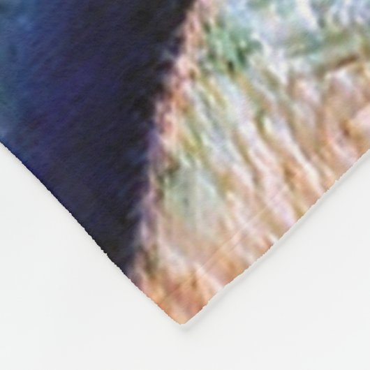 Couverture Polaire Conception (Coin)