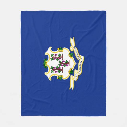 Couverture Polaire Conception de l'indicateur d'état Connecticut (Devant)