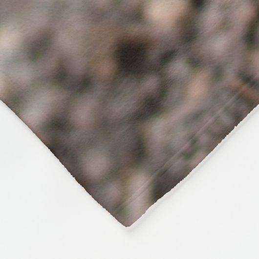 COUVERTURE POLAIRE CONCEVEZ VOTRE PROPRE (Coin)