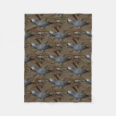 Couverture Polaire Congo Le perroquet gris au sol (Devant)