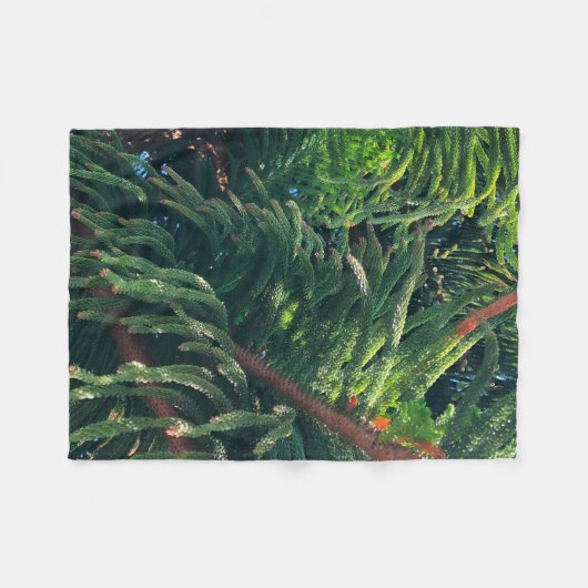 Couverture Polaire conifère à feuillage persistant de pin (Devant (Horizontal))