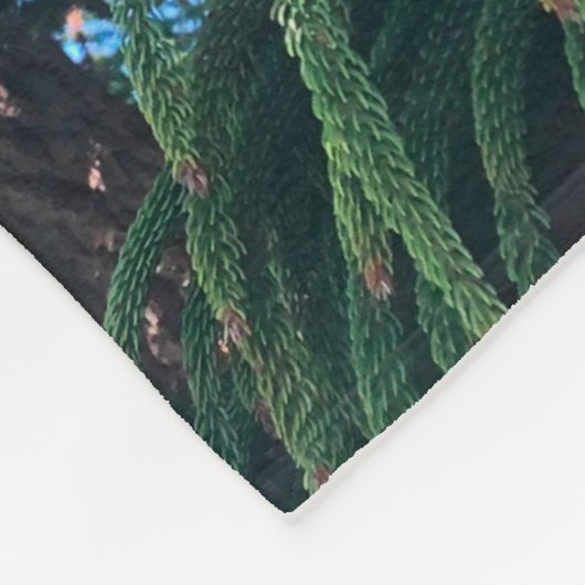 Couverture Polaire conifère à feuillage persistant de pin (Coin)