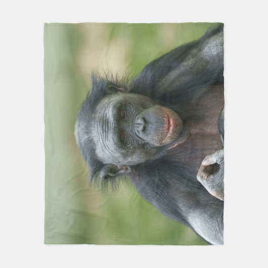 Couverture Polaire Contemplation Bonobo (Devant)