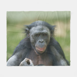 Couverture Polaire Contemplation Bonobo