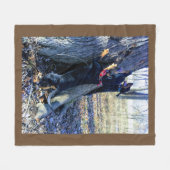 Couverture Polaire Coonhounds noir et bronze Trek Blanket en polaire (Devant (Horizontal))