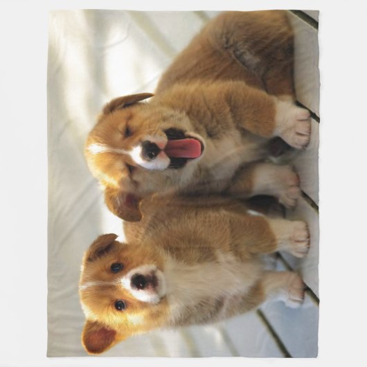 COUVERTURE POLAIRE COPIER LA PASSE (Devant)