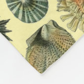 Couverture Polaire Coquillages de coquillages Mollusk Clam Élégant Ar (Coin)