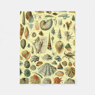 Couverture Polaire Coquillages de coquillages Mollusk Clam Élégant Ar