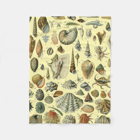 Couverture Polaire Coquillages de coquillages Mollusk Clam Élégant Ar (Devant)