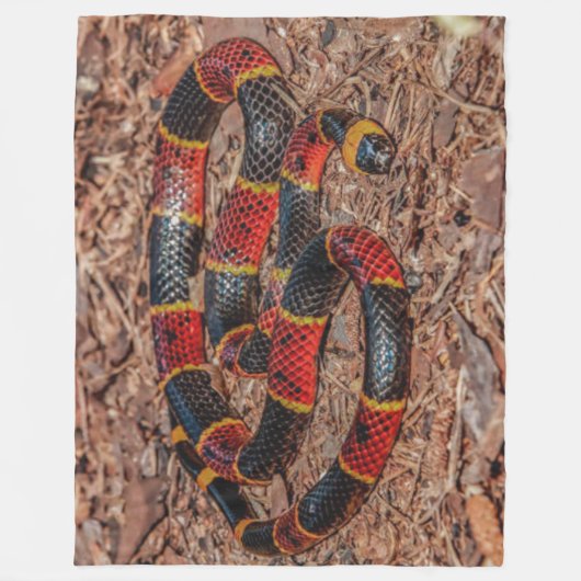 COUVERTURE POLAIRE CORAL SNAKE (Devant)