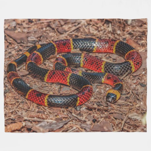 COUVERTURE POLAIRE CORAL SNAKE (Devant (Horizontal))