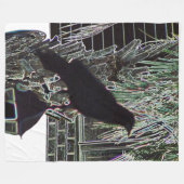 Couverture Polaire Corneille repose sur la lanterne (Devant (Horizontal))