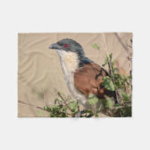 Couverture Polaire Coucal de Burchell (Devant (Horizontal))