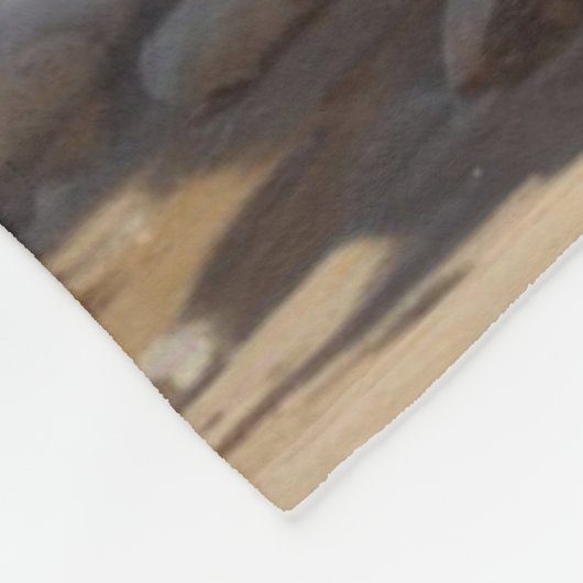 Couverture Polaire Cougar (Coin)