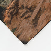 Couverture Polaire Cougar (Coin)