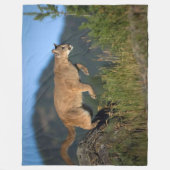COUVERTURE POLAIRE COUGUAR (Devant)