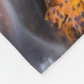 Couverture Polaire Couleurs d'automne le long des chutes de Starvatio (Coin)