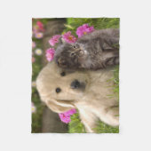 Couverture Polaire Couverture/chiot et chaton d'ouatine (Devant)