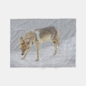 Couverture Polaire Coyote (Devant (Horizontal))