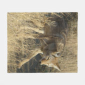 Couverture Polaire Coyote R14 en marche (Devant (Horizontal))