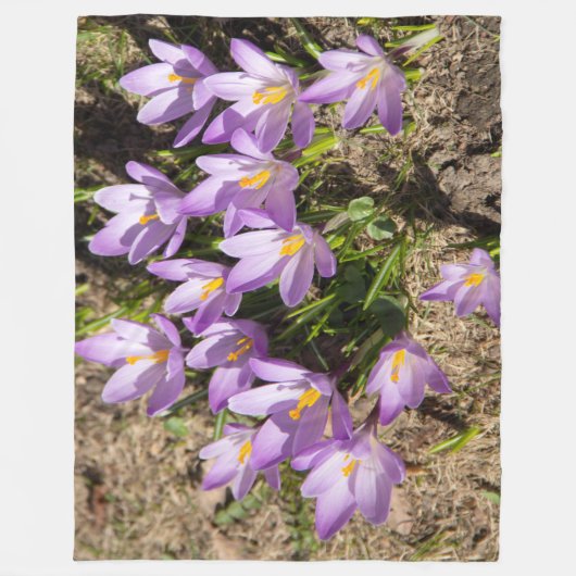 Couverture Polaire Crocus de printemps mignons (Devant)