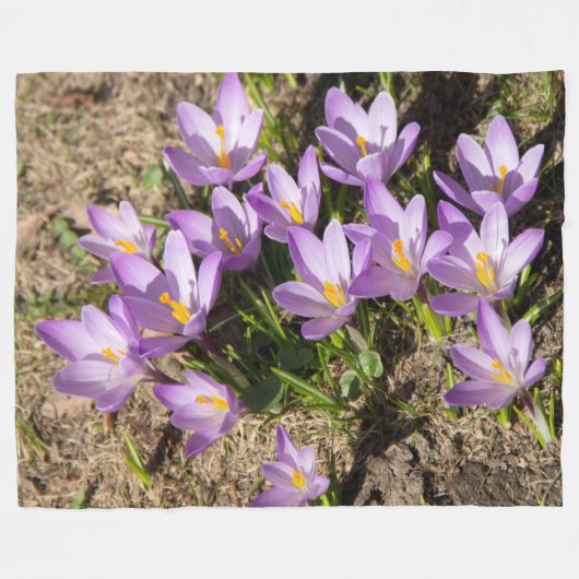 Couverture Polaire Crocus de printemps mignons (Devant (Horizontal))