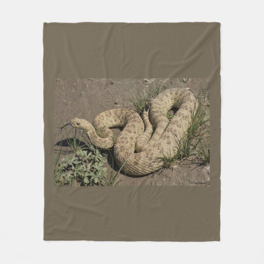Couverture Polaire Crotale des prairies R6 (Devant)