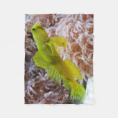Couverture Polaire Cryptocentrus cinctus (Devant)