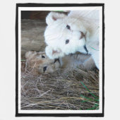 Couverture Polaire Cubes de tigre (Devant)