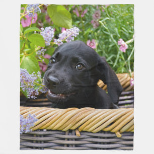 Couverture Polaire Cuisine Black Labrador Retriever Chien Chiot Chiot