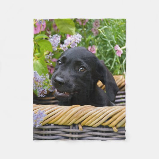 Couverture Polaire Cuisine Black Labrador Retriever Chien Chiot Chiot (Devant)