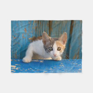 Couverture Polaire Cuisine Calico Cat Kitten Drôle des yeux curieux