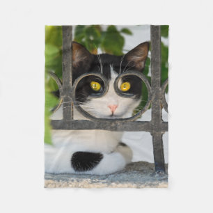 Couverture Polaire Curieux Chat avec cadre Spectacles Amusant - confo