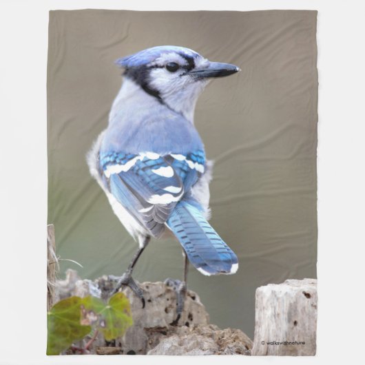 Couverture Polaire Cute Bleu Jay Songbird sur Treestump (Devant)