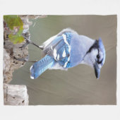 Couverture Polaire Cute Bleu Jay Songbird sur Treestump (Devant (Horizontal))