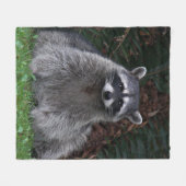 Couverture Polaire Cute Forest Raccoon Photo Faune (Devant (Horizontal))