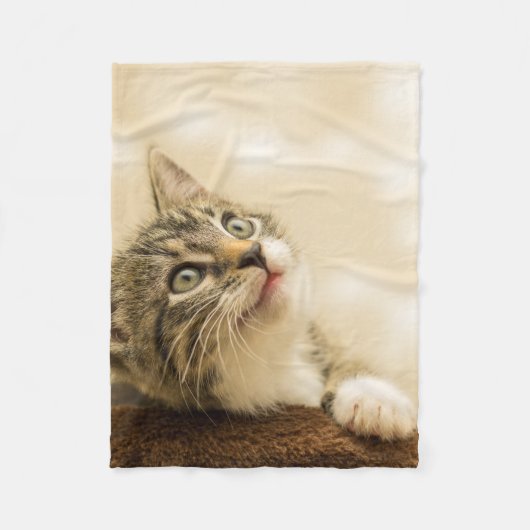 Couverture Polaire Cute Kitten avec une paille étirée (Devant)