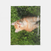 Couverture Polaire Cute Kitty Chat Personnalisé Animaux de compagnie  (Devant)