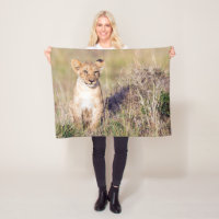 Cute lionceau en Afrique photo