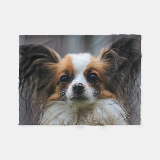 Couverture Polaire Cute Papillon Toy Spaniel Dog Photographie Imprime (Devant (Horizontal))