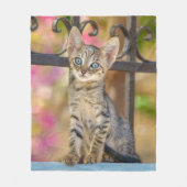 Couverture Polaire Cute Young Tabby Kitten aux yeux bleus dans un jar (Devant)