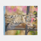 Couverture Polaire Cute Young Tabby Kitten aux yeux bleus dans un jar (Devant (Horizontal))