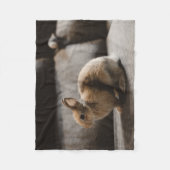 Couverture Polaire Cutest Baby Animals | Netherland Dwarf Rabbit (Devant)