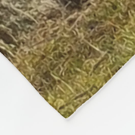 Couverture Polaire Cygne (Coin)